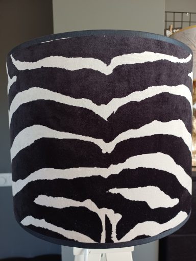 kap zebra kap zebra